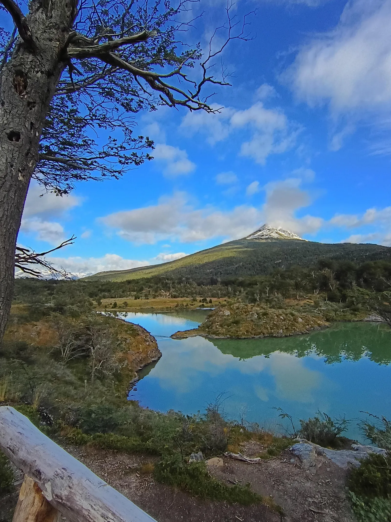 Lagoon and forest below a snow-capped peak