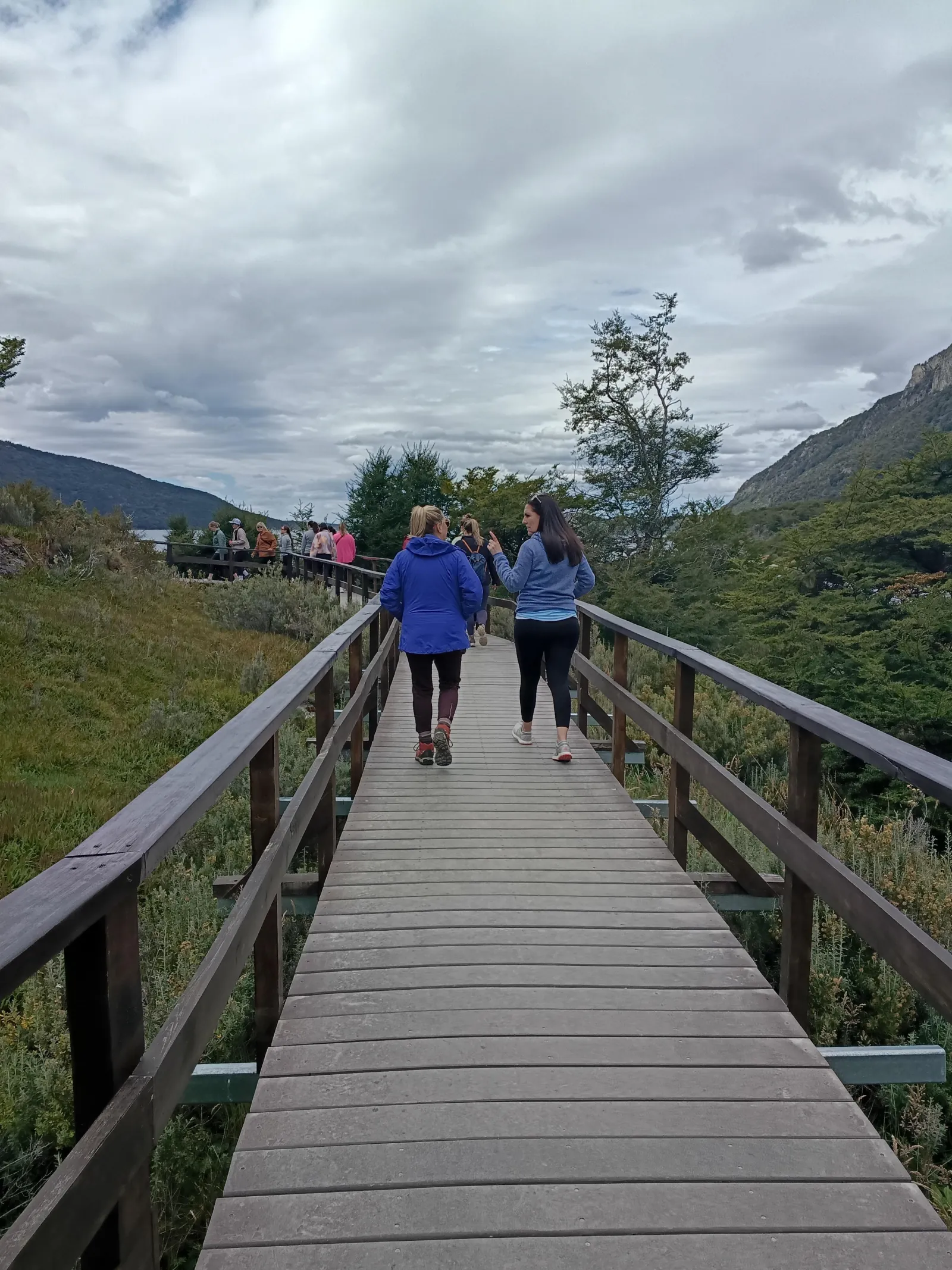 Walkers on a boardwalk trail in Tierra del Fuego National Park