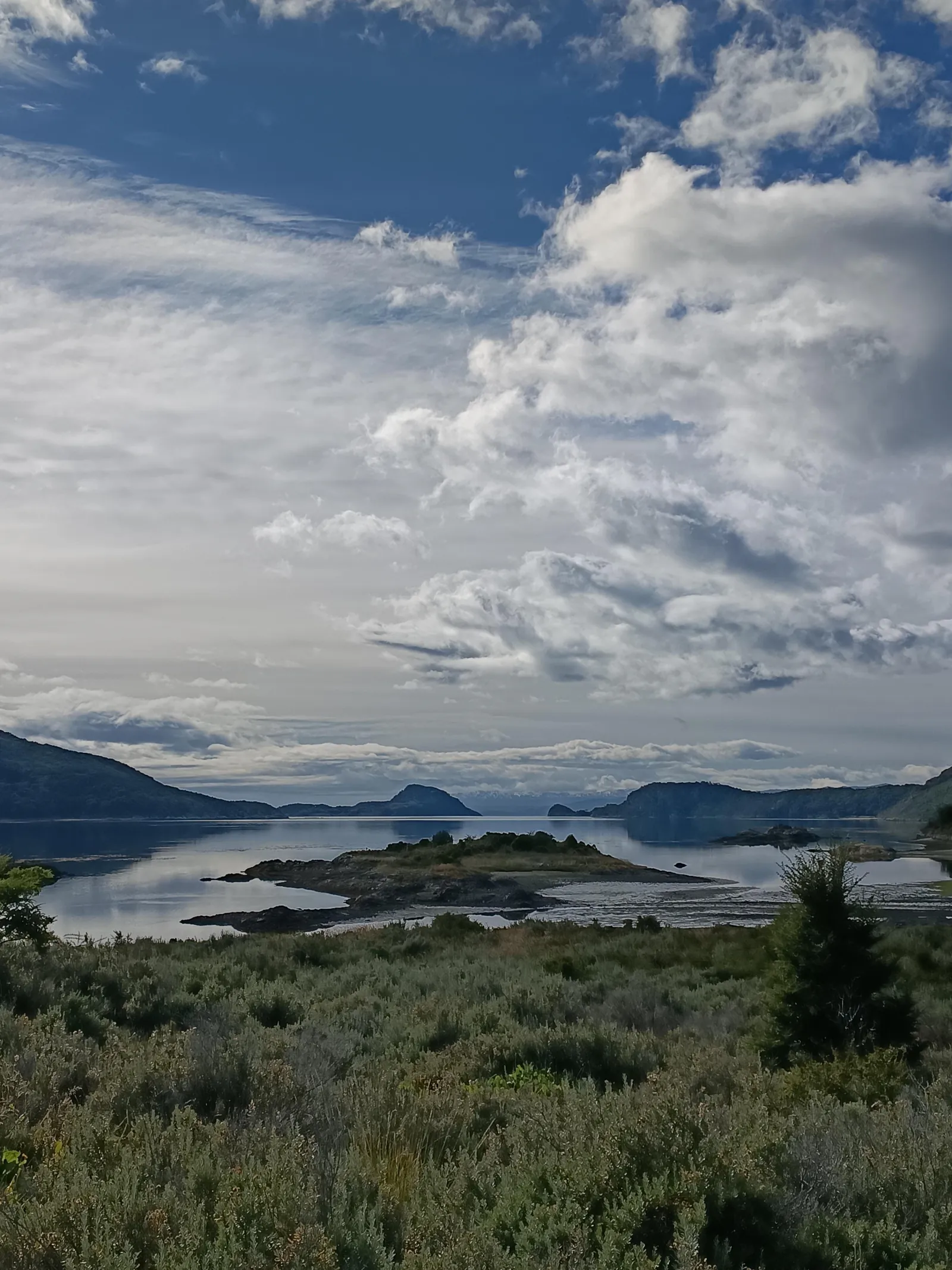 Clouds over Lapataia Bay seen from a scrubby hillside