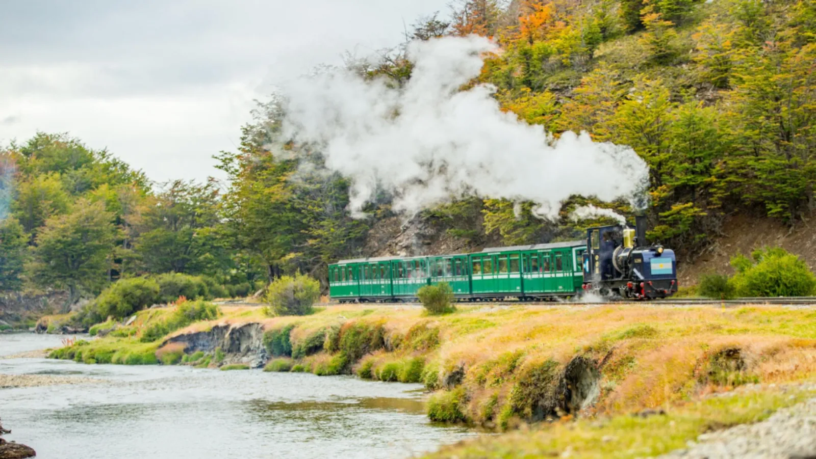 Green carriages and steam locomotive running beside the Pipo River in autumn colour