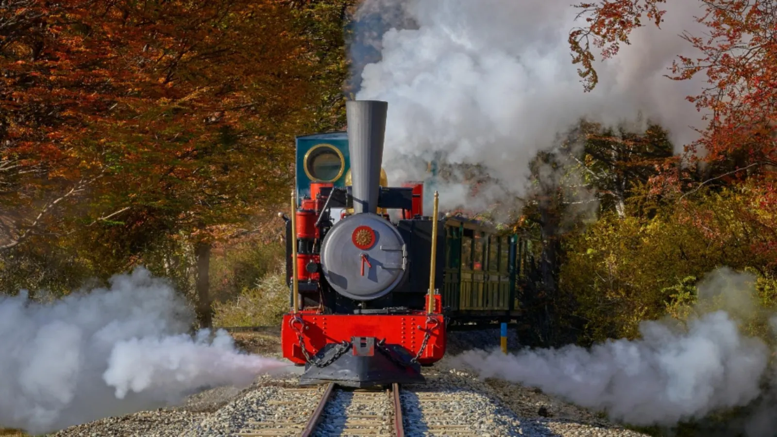 Steam locomotive approaching head-on between autumn trees, wreathed in steam