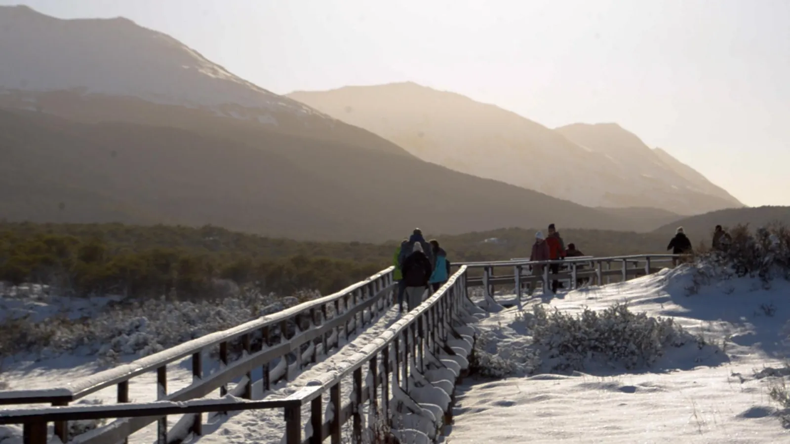 Snow-covered boardwalk and railings in low winter sun