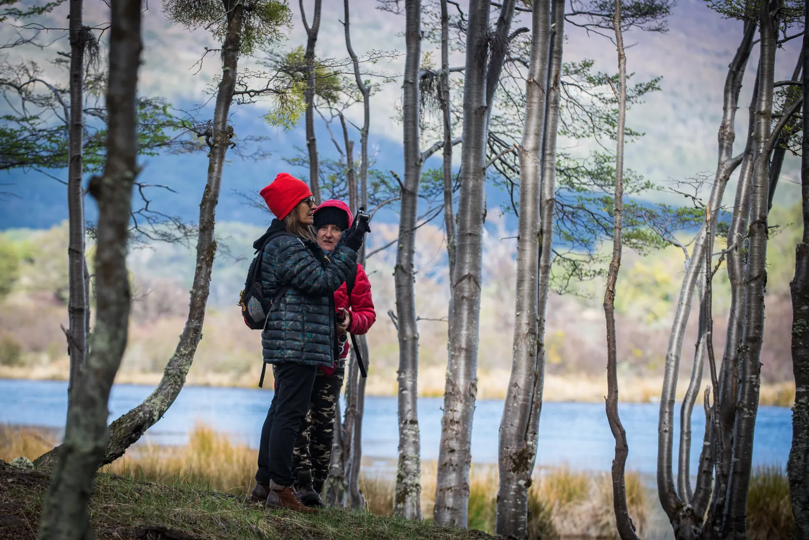 Couple among bare lenga trunks beside a lake