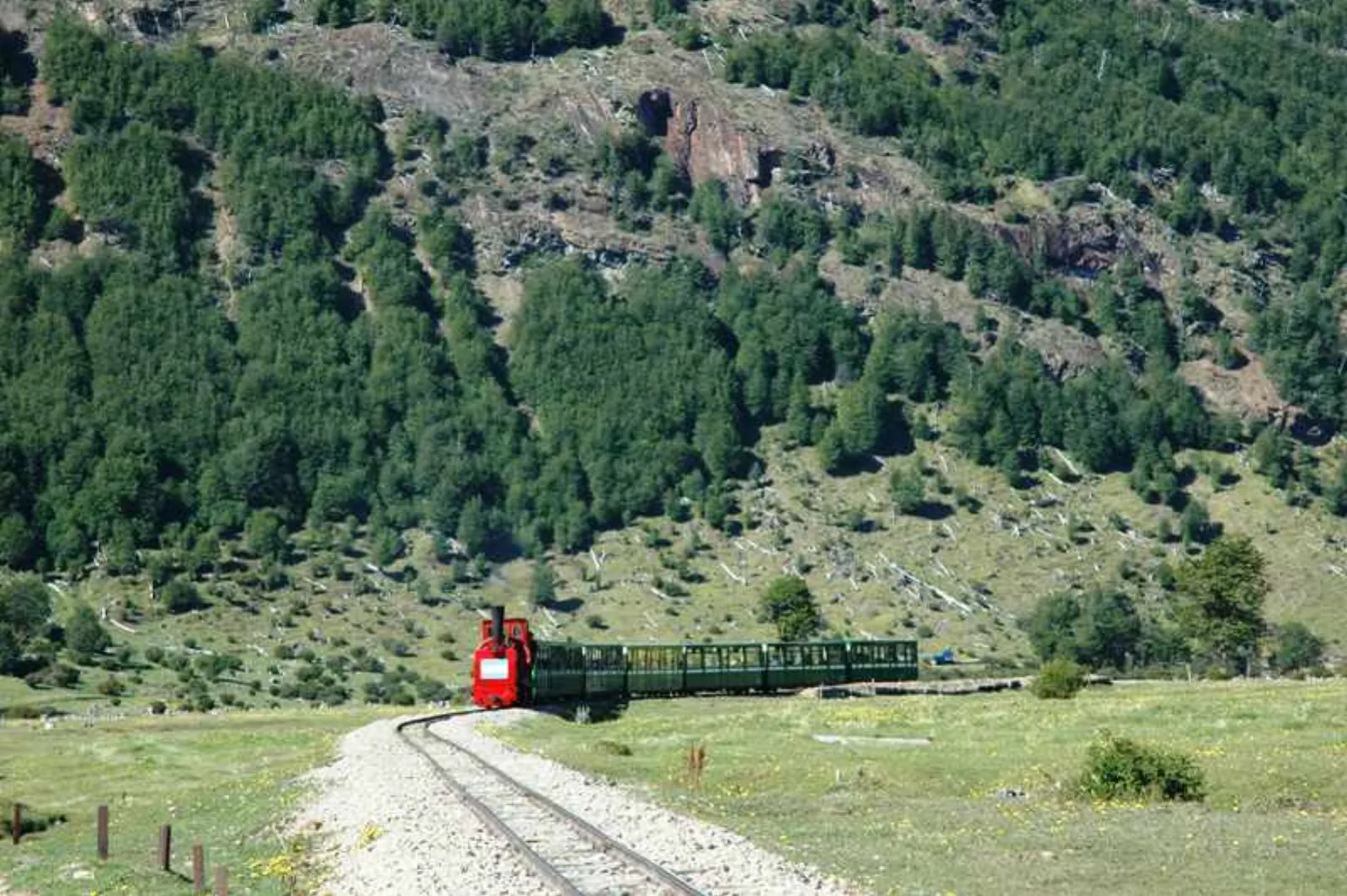 The train crossing an open valley below forested slopes