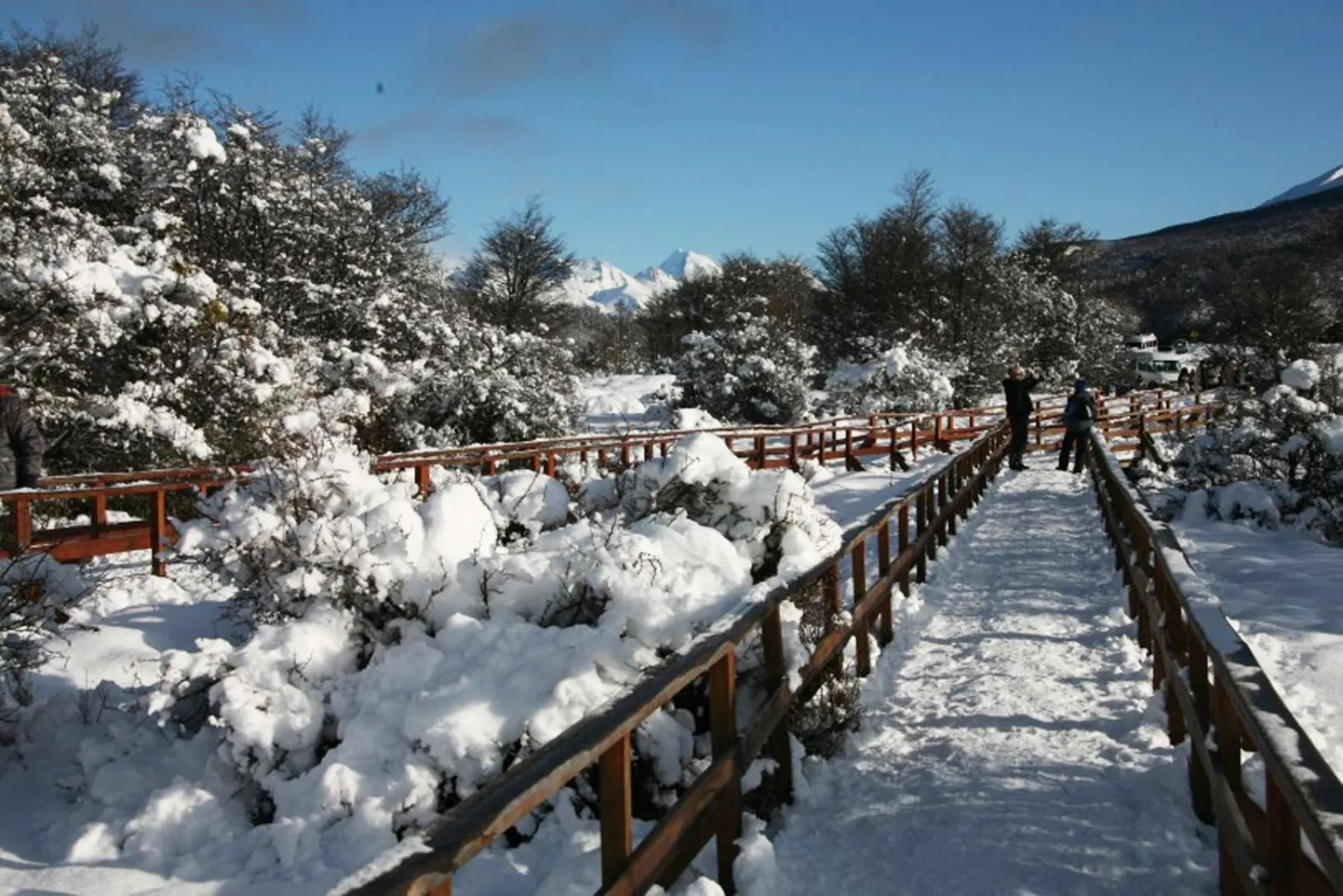 Snow-covered boardwalk through the forest in winter