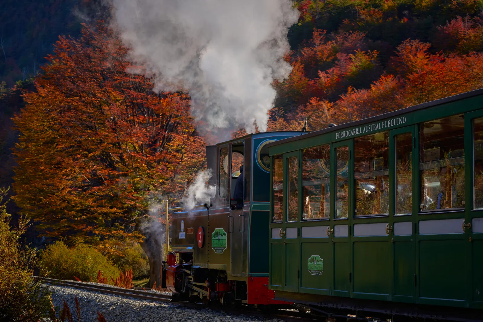 Locomotive and green carriages among autumn lenga trees