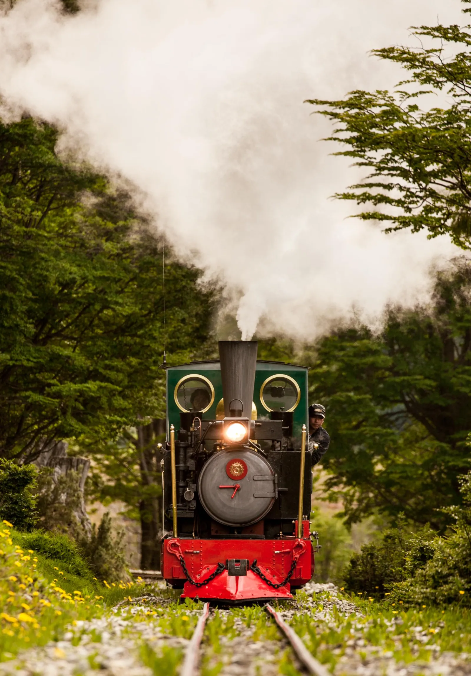 Steam locomotive coming head-on through the forest, End of the World Train