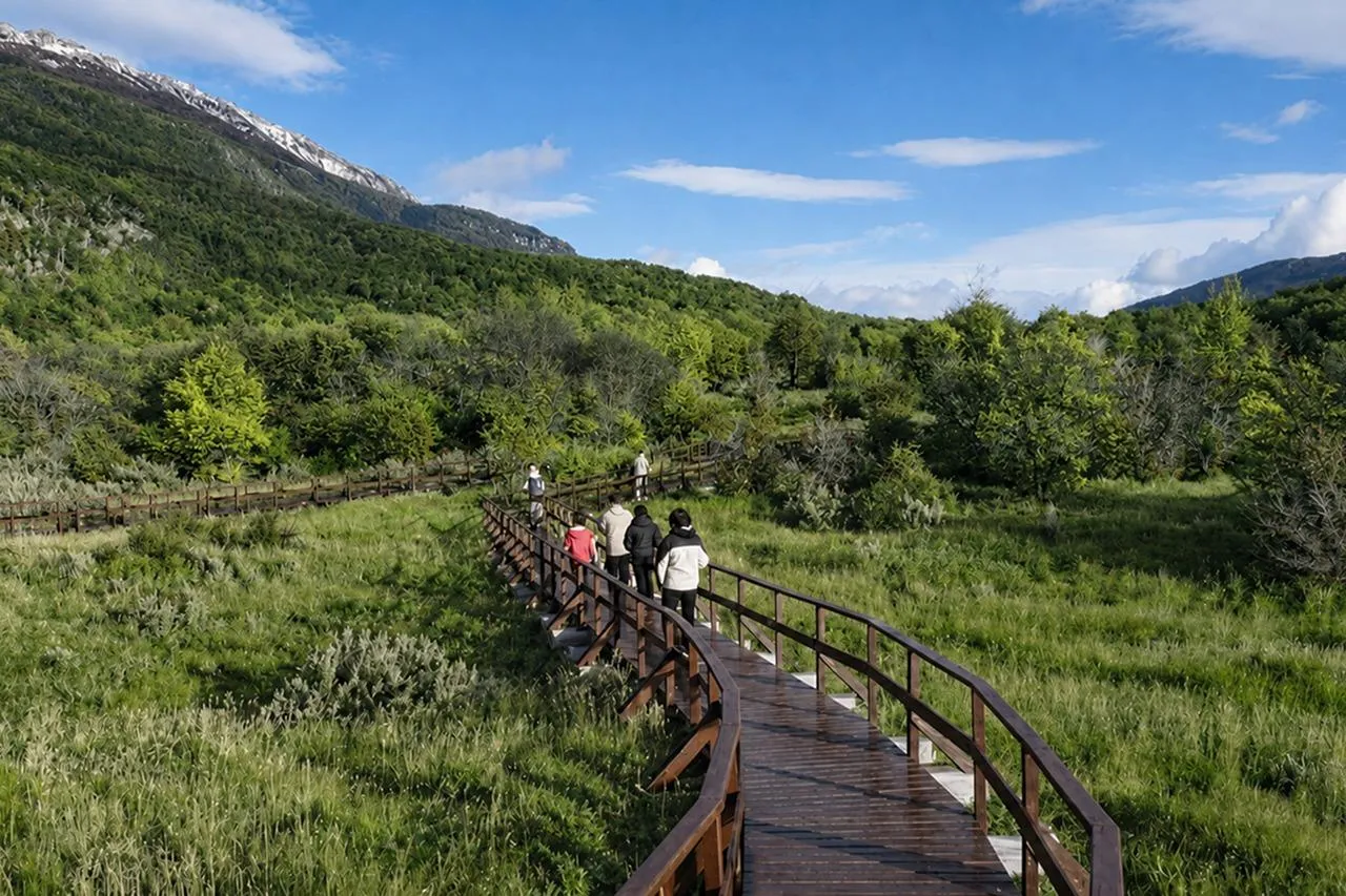 Ushuaia shore excursion — Tierra del Fuego National Park and the End of the World Train — image 9
